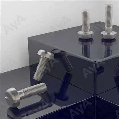 SS Pan Head Screw